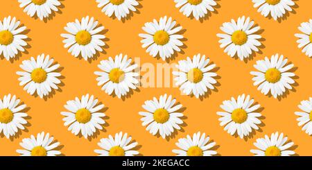 Daisy flower on sunny orange background. Foral seamless pattern for print. Flat lay Stock Photo