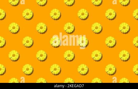 Floral seamless pattern with yellow daisy flowers on orange background Stock Photo