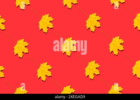 Yellow autumn leaves on red background. Minimal contemporary still life, isometric flat lay Stock Photo