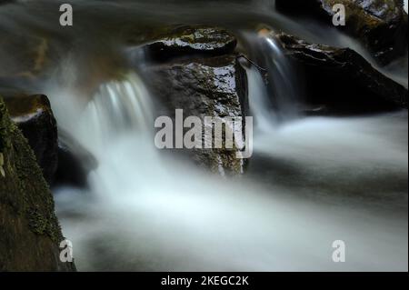 Melincourt Brook just below Melincourt Falls. Stock Photo