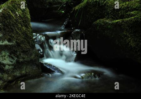 Melincourt Brook just below Melincourt Falls. Stock Photo