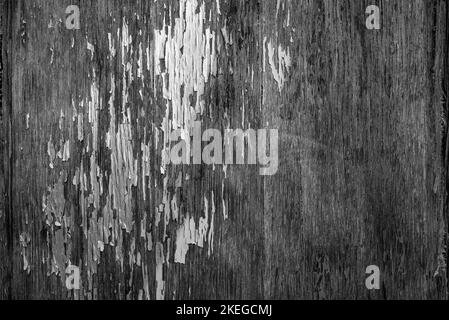 Wood texture background. Black and white distress weathered wood backdrop Stock Photo