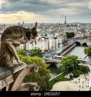 Gargoyle on Notre Dame de Paris looks at city, France. View of Gothic gargoyle (chimera) statue at sunset. Photo of medieval demon sculpture over Pari Stock Photo