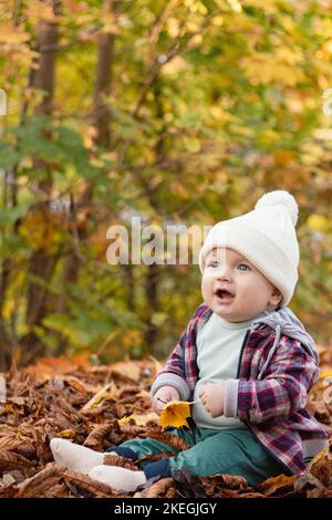 Little cute baby boy have fun outdoors in the park in autumn time Stock Photo