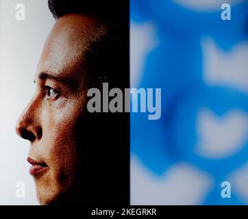 Elon Musk along with the Twitter logo is seen in this illustration photo in Warsaw, Poland on 12 November, 2022. The option to sign up for Twitter’s n Stock Photo