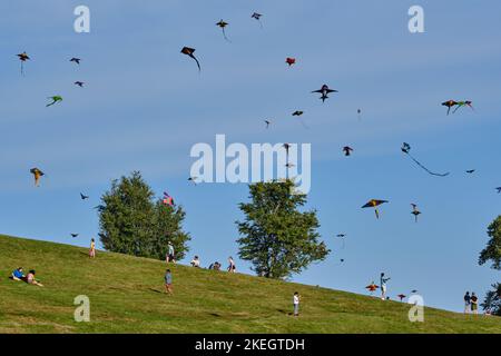 kite festival on the slope of the citadel in Halifax Stock Photo