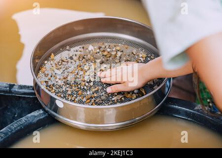 Child hand picking pebbles at the sieve at archaeological excavations or extraction of gold and other gems at the prospecting site. Muddy water in bac Stock Photo