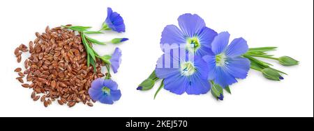 flax seeds with flower isolated on white background Stock Photo
