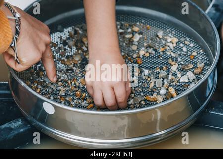 Child hand picking pebbles at the sieve at archaeological excavations or extraction of gold and other gems at the prospecting site. Muddy water in bac Stock Photo