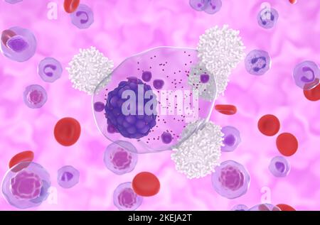 T-cells attack multiple myeloma cell in the blood flow - closeup view 3d illustration Stock Photo