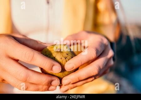 Woman's hands opening a fig to eat. Fresh ripe fig fruit in the hands. A young woman eats figs on the beach, near sea. Ficus carica, Fig - green Stock Photo