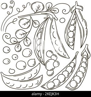 Set of vector illustrations in hand drawn style. Coloring poster with fruits. Peas. Collection of icons, stickers Stock Vector