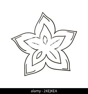 star fruit coloring pages
