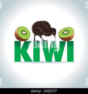 Kiwi illustration Animal and fruit cartoon, new zealand bird Stock Vector
