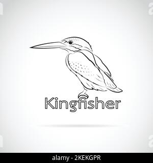 Vector of Common kingfisher (Alcedo atthis) on white background. Bird Design. Easy editable layered vector illustration. Animals. Stock Vector