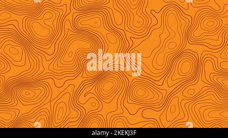 Abstract topographic contour line pattern solid background vector map. Stock Vector