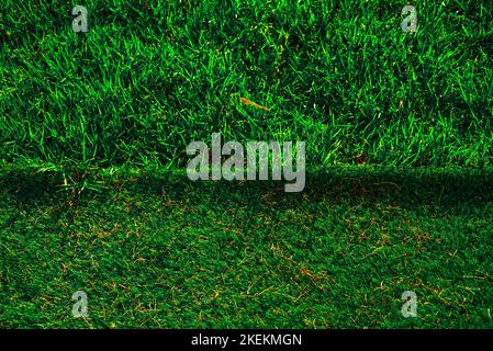 In Center Of Frame, Junction Of Two Green Lawns - Artificial And Natural. Concept Of Choosing Cover for Field. Stock Photo