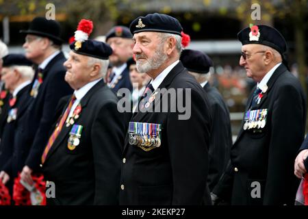 Newcastle, UK. 13th Nov 2022. 13/11/2022 Remembrance Sunday Parade, Newcastle, England Stock Photo