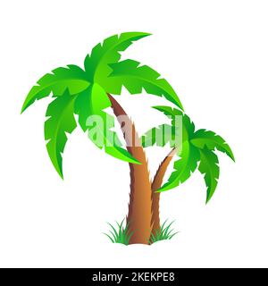 Palm trees isolated on white background. Beautiful vector palm tree set vector illustration. Stock Vector