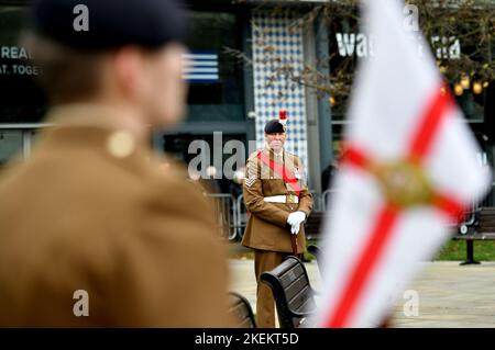 Newcastle, UK. 13th Nov 2022. 13/11/2022 Remembrance Sunday Parade, Newcastle, England Stock Photo