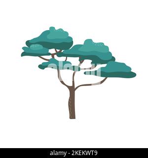 African acacia tree with wide crown flat cartoon style, vector illustration on white. Nature design element, single object, savannah flora Stock Vector