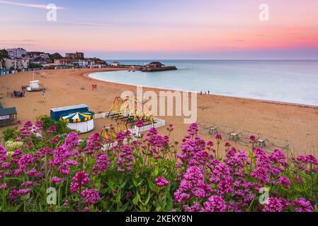 Wildflowers atop the cliffs on the Thanet coast at Viking Bay, Broadstairs Stock Photo