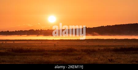Sunrise panoramic on the Graveney Marshes near Whitstable, Kent Stock Photo