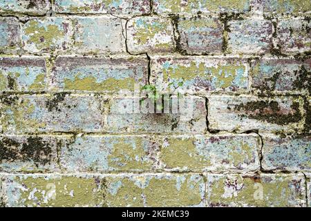 Internal painted wall of disused garage Stock Photo