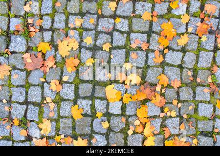 Old stone paving stone overgrown with green moss and strewn with yellow autumn foliage Stock Photo