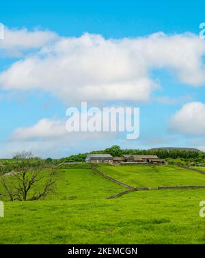 Aerial landscape view of a farm on a hillside in the Yorkshire Dales, North Yorkshire.. Sunny day with drystone walls and meadows. Stock Photo