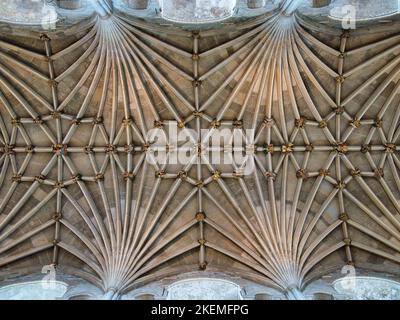 The symmetrical detail of the vaulted ceiling and ornate bosses  in Norwich Cathedral, Norfolk, UK Stock Photo