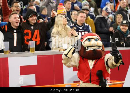 Seattle, USA. November 22, 2015. Seahawks mascot, Blitz, watches a replay  during an official review during a game between the San Francisco 49ers and  Seattle Seahawks at CenturyLink Field in Seattle, WA