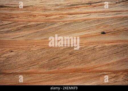 Swooping Curves of Sandstone Wall Background Image from zion Stock Photo
