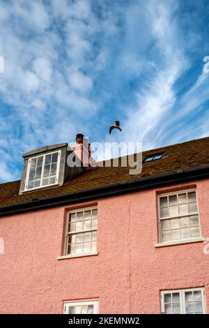Pink house, blue sky, wispy clouds, seagull at West Bay, Dorset Stock Photo