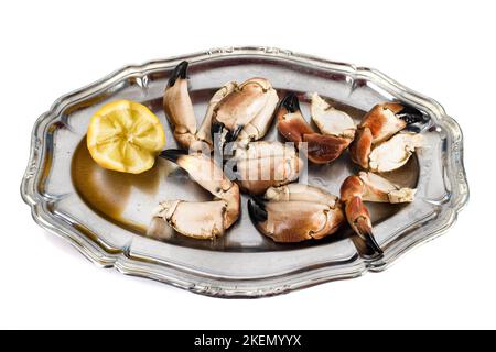 crab pliers in front of white background Stock Photo