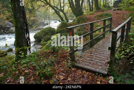 Photograph Wooden footbridge Riverside walk River Llugwy (Afon Llugwy) in spate Betws-y-Coed Snowdonia National Park Gwynedd North Wales United Kingdo Stock Photo