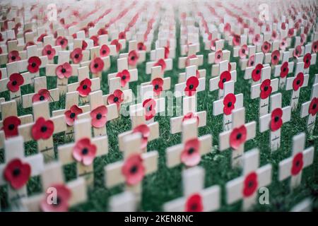 Hereford, UK. 13th Nov, 2022. The Hereford Garden of remembrance in the grounds of Hereford Cathedral. Hereford marks Remembrance Sunday on the 100th anniversary of the Eleanor Cross in St Peters Square. Designed in the form of an Eleanor Cross, the 30ft high Memorial was unveiled and dedicated on 7th October, 1922 in commemoration of about 2000 Herefordshire service men and women who gave their lives in the 1914-1918 War. (Photo by Jim Wood/SOPA Images/Sipa USA) Credit: Sipa USA/Alamy Live News Stock Photo
