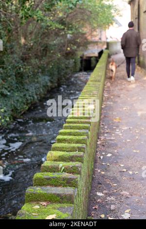 Moss covered bricks run alongside the water at Mill Walk, Mill Quay ...