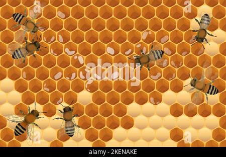 Close up view of the working bees on honey cells Stock Vector