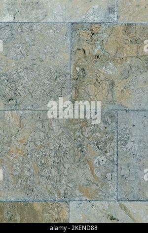 Decorative exterior wall tile sandstone porcelain stoneware close-up Stock Photo