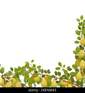 Pear fruit tree isolated on white background illustration Stock Vector ...