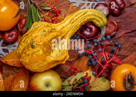 Background. Autumn Decoration Background with chrysanthenum, chestnut, pumpkin, kaki, red and blue fruits, on leaves. Stock Photo