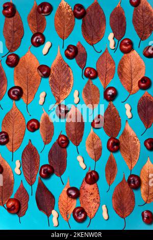 Background. Autumn Decoration Background with Leaves, chestnut and hazelnuts. Stock Photo