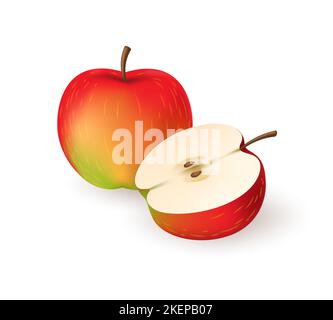 Season apple closeup Stock Vector