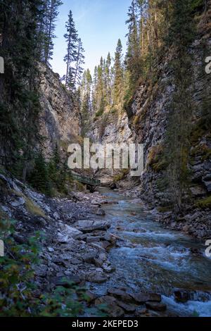 view of the start of the cliffside trail in johnston canyon Stock Photo