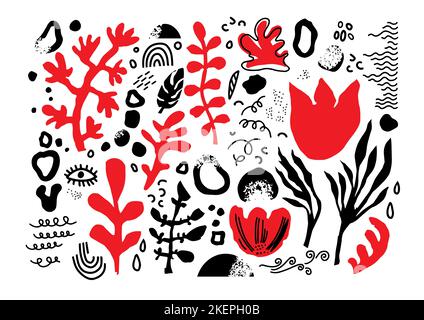 Floral and botany motifs, abstract drawings vector Stock Vector