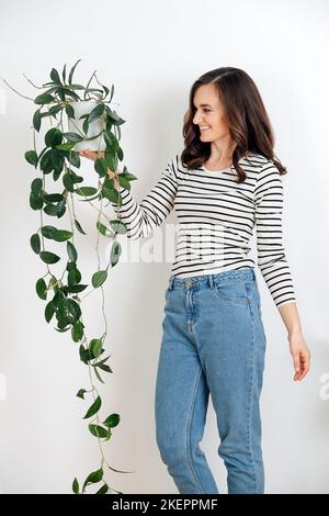 Happy brunette woman holding a potted plant in her hand, looking at it. Branches hangng all the way down to the floor. Over white wall. Stock Photo