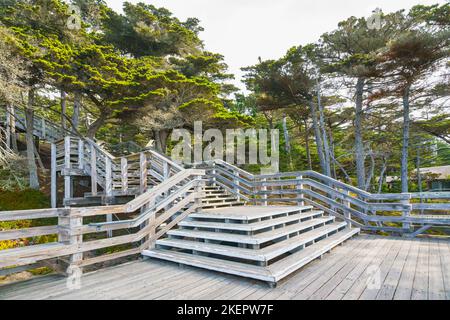 Wooden stairs leading to a scenic view point, Monterey Bay, California Central Coast Stock Photo