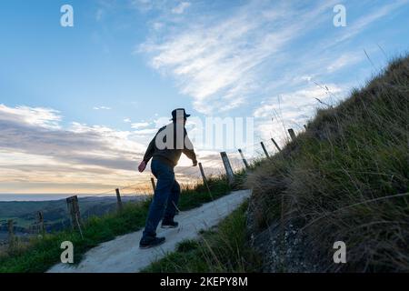 Man hiking Te Mata Peak track. Climbing steep uphill, Hawke’s Bay. Stock Photo