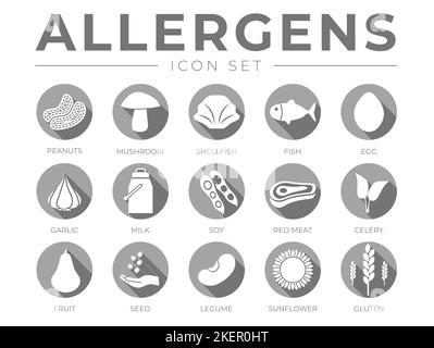 Flat Gray Allergens Icon Set. Peanuts, Mushroom, Shellfish, Fish, Egg, Garlic, Milk, Soy Red Meat, Celery, Fruit, Seed, Legume and Sunflower Gluten Fo Stock Vector